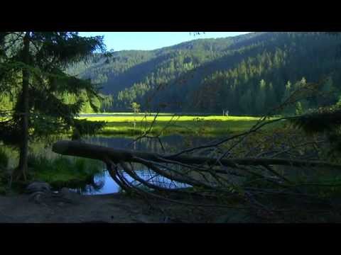 Luftkurort Lam im Bayerischen Wald
