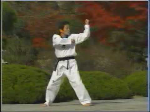 12. Taekwondo Poomsae Pyongwon (WTF)