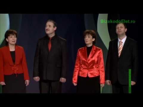 Gyarló vagyok - Amicus Christi