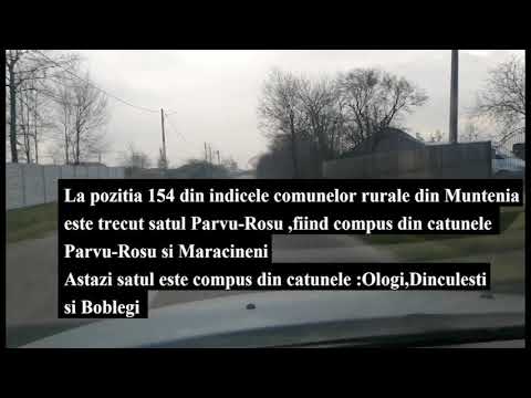 Parvu Rosu documentar