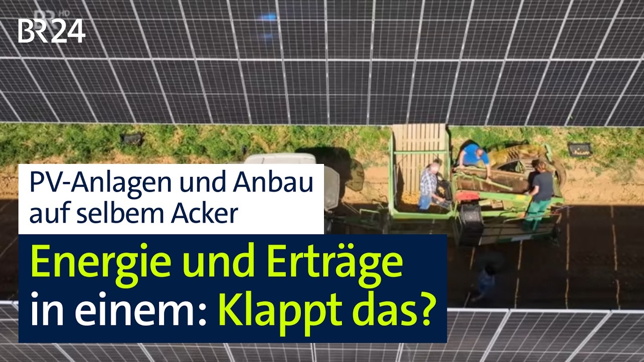 Doppelnutzung: Solaranlagen und Anbau auf einem Feld – geht die Rechnung auf? | BR24