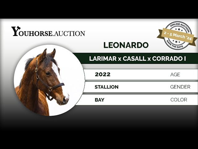 Leonardo