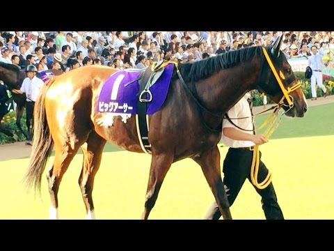 2016.10.02第５０回スプリンターズＳ②パドック②