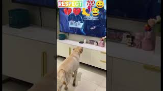 respect #viral #shortvideo