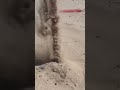 Got A Little Sand In My Shoe Playing At Sand Mountain
