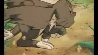 AMV - Harvey the Wonder Hamster (Weird Al)