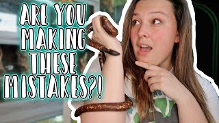Top 5 Mistakes New Reptile Keepers Make and How to Avoid Them