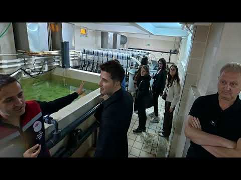SturNet Project Video
