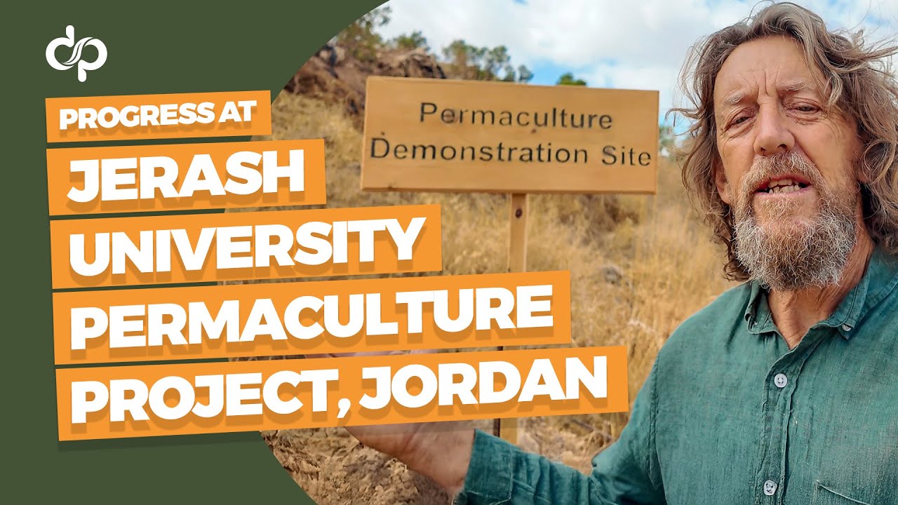 Progress at the Jerash University Permaculture Project, Jordan