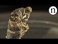 This light-powered 3D printer materializes objects all at once
