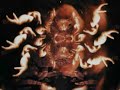 Neurosis - "Erode" (music video)