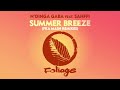 N Dinga Gaba Ft Sahffi Summer Breeze Fka Mash Re Glitch
