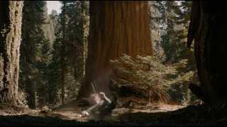 True Detective Season 2 Fan Video || Lera Lynn – My Least Favorite Life