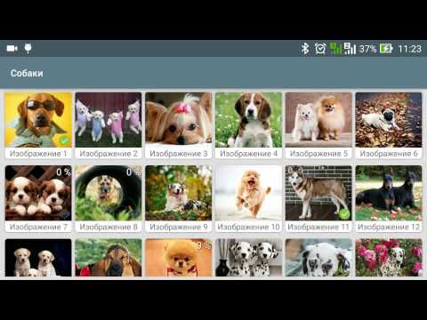 Jigsaw Puzzles Dogs Video