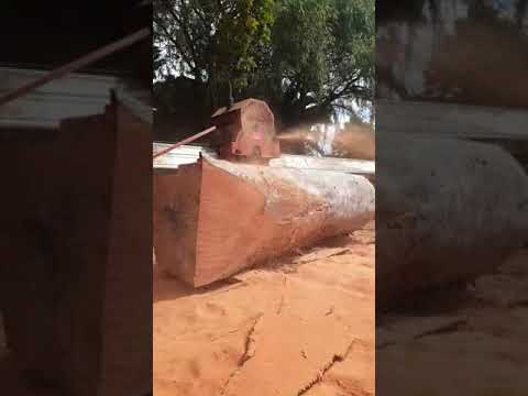 20 year old minimax 2