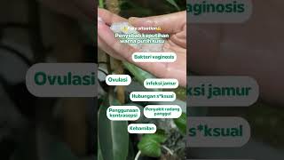 Download lagu Penyebab Keputihan Warna Putih Susu mp3 Download lagu Penyebab Keputihan Warna Putih Susu mp3