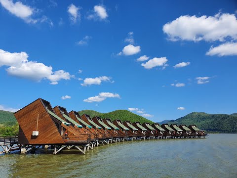 Complex Egreta Berzasca Dunare 2021 - 1440p - Insta360 Go 2