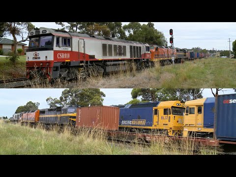 SCT 7922V Dooen Container Train With CSR010 + CLF2 + C501 Crosses Grain  (11/2/2021) - PoathTV