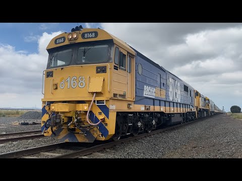 7733V SG Pacific National grain with 8168 X48 BL27 arriving at Gheringhap loop 28/11/2023
