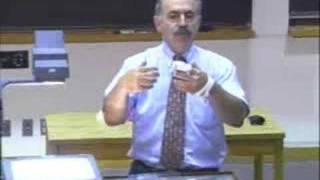 Lec 4 | MIT 7.012 Introduction to Biology, Fall 2004