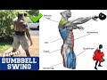 HOW TO DO A SINGLE ARM DUMBBELL SWING (The PERFECT Way!) | Exercise Tutorial