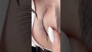 Download lagu Clover × LB Camellia Lashes ✨ Soft Natural Lash Flow.  #lashartist #lashes #lashmapping  #lashtips mp3