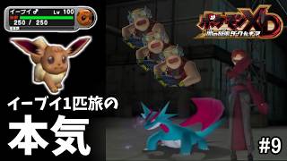 【レベルひゃクレイン】イーブイ1匹 VS シャドー幹部 ゴリガン、エルデス！【ポケモンXD 闇の旋風ダークルギア #9】