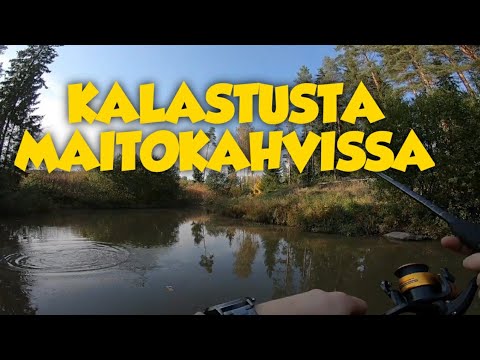 Kalassa Jarkon kanssa maitokahvin värisessä joessa