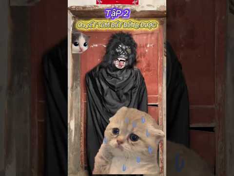 Tập 2 : Ma Sói quyết Tâm Bắt Được Người Thì Mới Đi #trending #viral #shorts  #funny #chuyenma