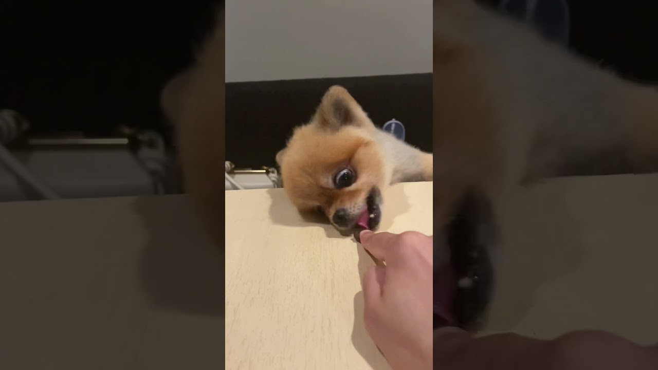 おやつを目の前にした時の凄まじい形相