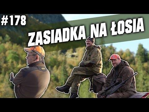 Darz Bór odc. 178 - Zasiadka na łosia