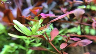 Ngất ngây với những khoảnh khắc đẹp của bà mẹ thiên nhiên ban tặng