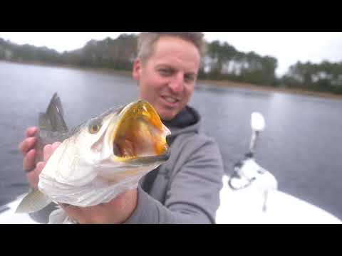 BIG SPECKLED TROUT FISHING ACTION in the WINTER ft HOW TO and TUTORIAL