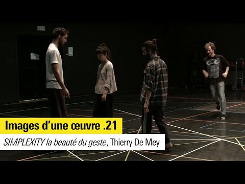 Images d'une œuvre n°21 : "SIMPLEXITY la beauté du geste" de Thierry De Mey