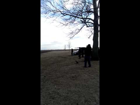 Clay pigeon shooting!