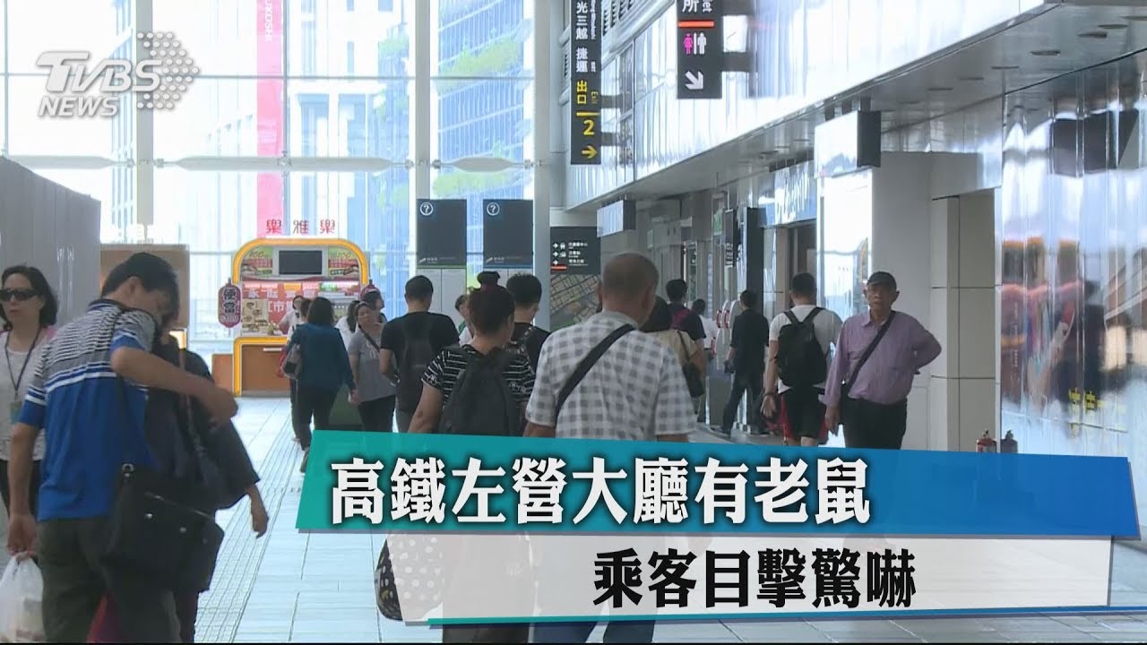 高鐵左營大廳有老鼠 乘客目擊驚嚇