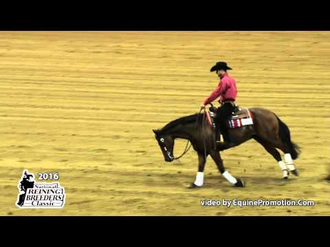 Valentino Tag ridden by Saar Ben Hamo  - 2016 NRBC (Open Prelims)