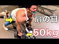 マジで驚くほど筋肥大する究極の肩トレーニング