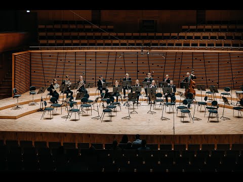 Strauss: Serenade in Eb major, op. 7 / US Kammer