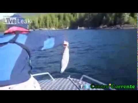 Lui pesca il salmone, l'aquila se lo mangia...