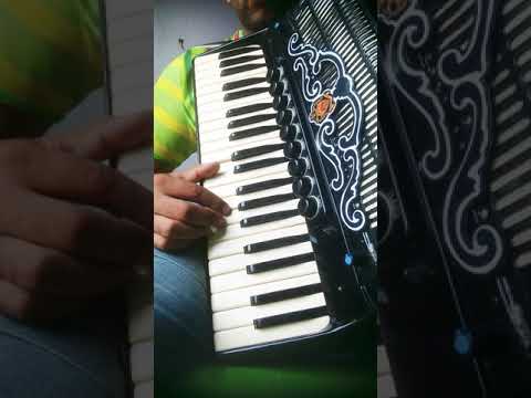 A Linda Das Mais Lindas - Arreio de Ouro