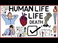 THE PURPOSE OF LIFE AND DEATH Dr Israr Ahmed Animated