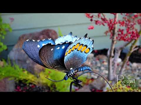 13105 Rocker Butterfly Pipevine 2022