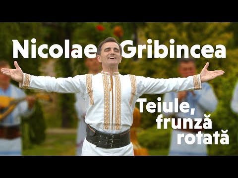 Nicolae Gribincea - Teiule, frunză rotată