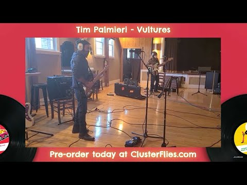 Cluster Flies: Tim Palmieri - "Vultures"