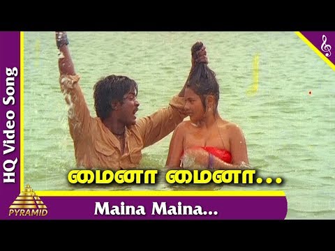 Pagal Nilavu Tamil Movie Songs | Maina Maina Video Song | Murali | Revathi | Ilayaraja | மைனா மைனா