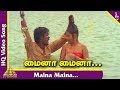Pagal Nilavu Tamil Movie Songs Maina Maina Video Song Murali Revathi Ilayaraja மைனா மை�
