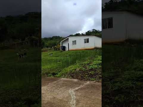 Asi es la sierra falconiana. #sierra #falcon #coro #cabure