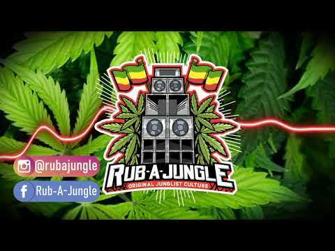 🟩🟨🟥 Timbali ft. Skarra Mucci - Zion Train (Jamie Bostron Remix )