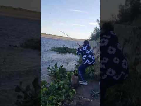 en sauce viejo tambien